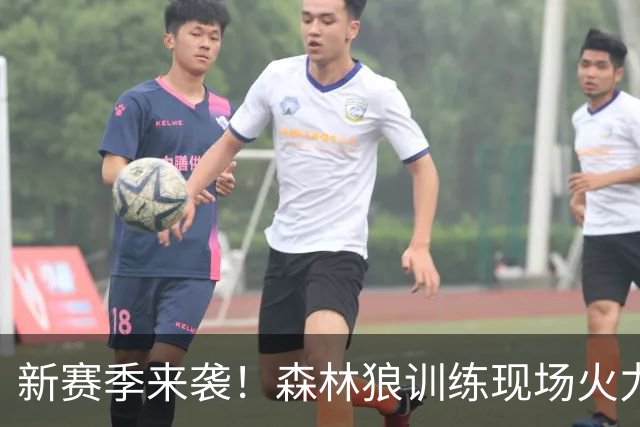 新赛季来袭！森林狼训练现场火力全开